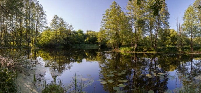 Воронежский заповедник