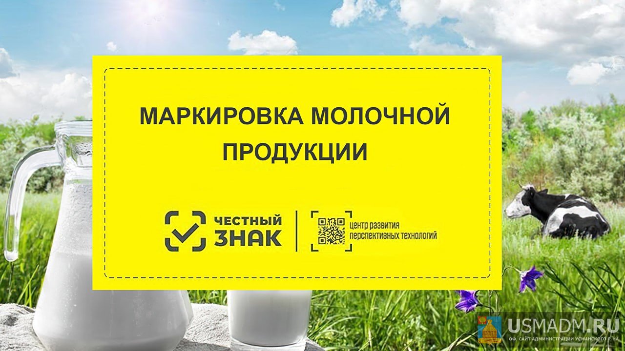 Информация для руководителя и индивидуального предпринимателя сферы потребительского рынка.