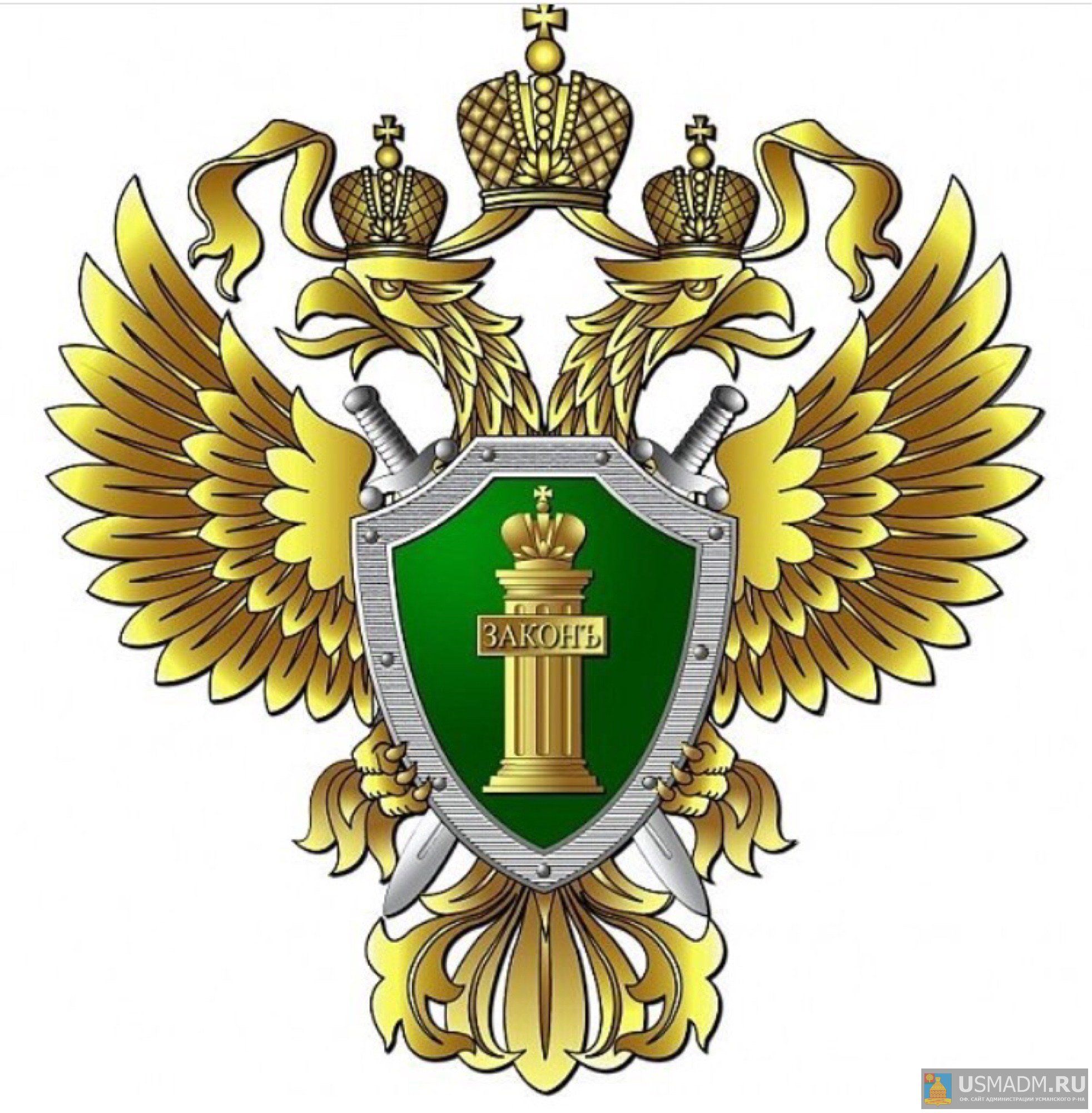 О занятости молодежи